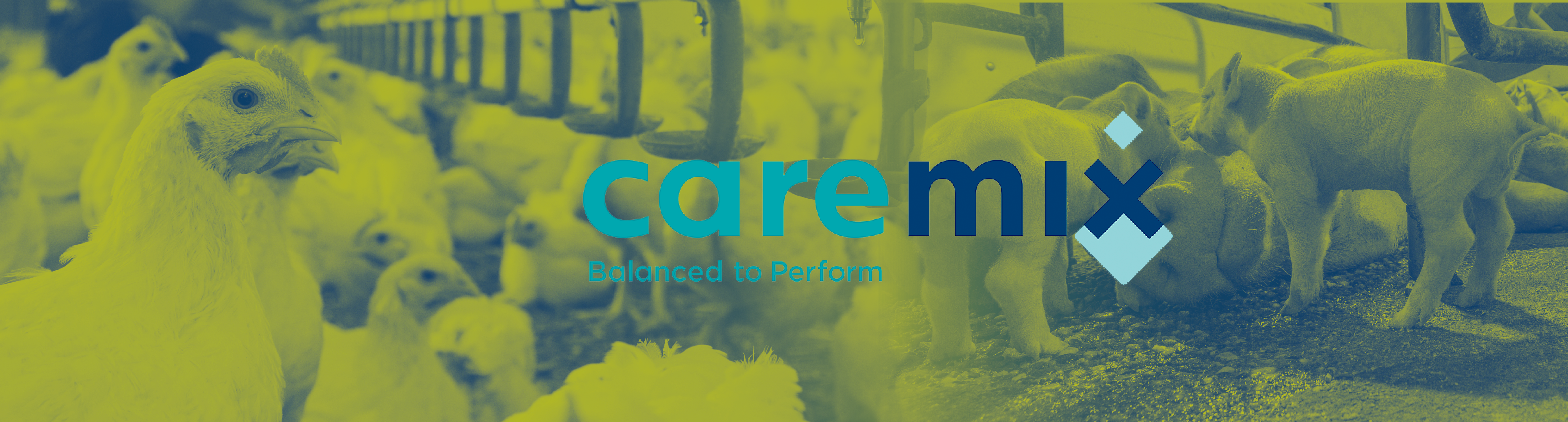 Enrich livestock nutrition with Maxcare feed supplements