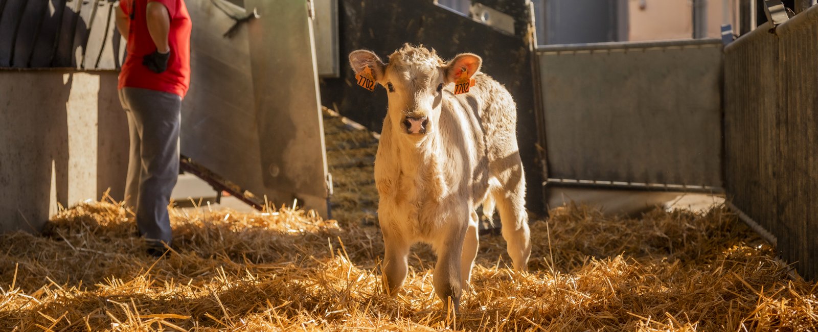 Effectively managing stress in growers