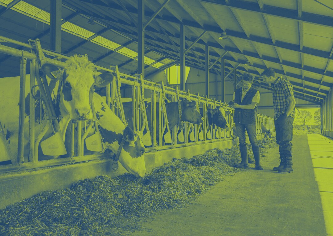 Learn more about Sprayfo